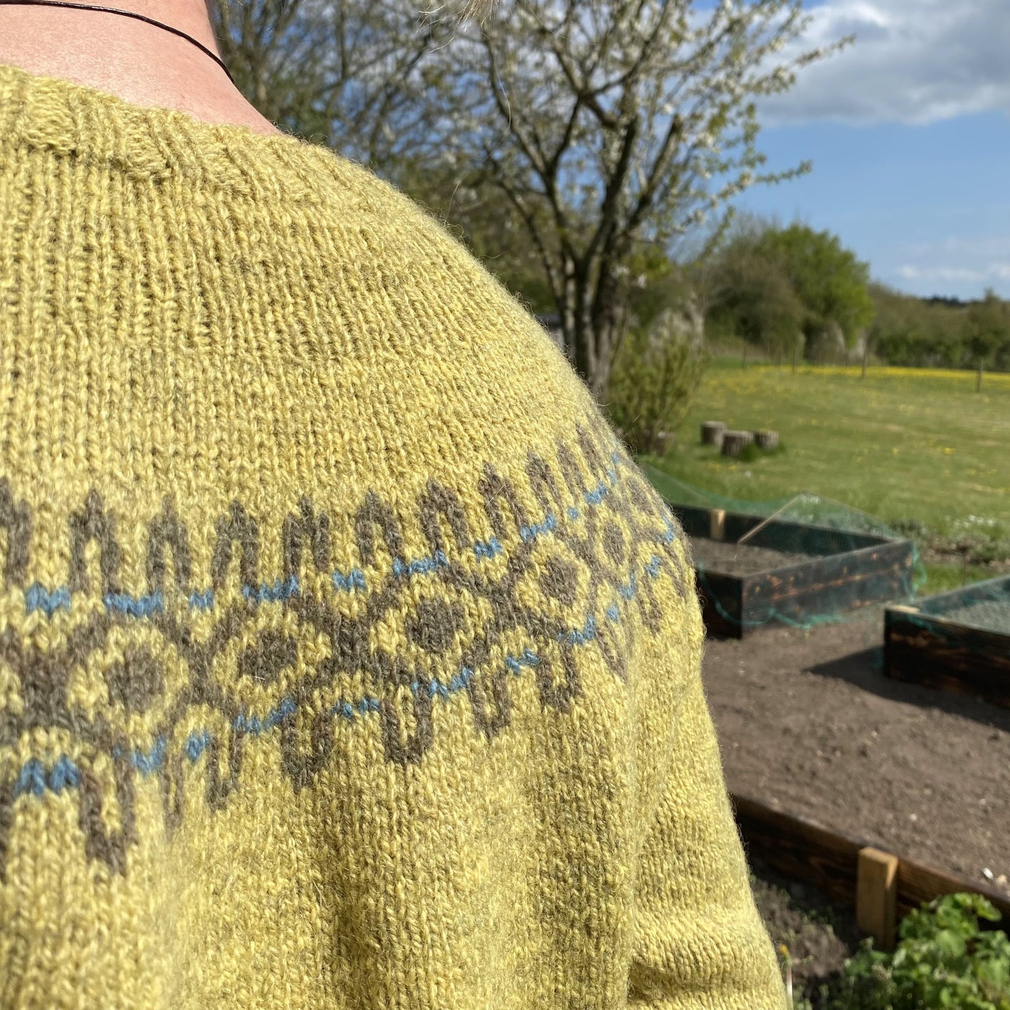 Kelleruphus sweater